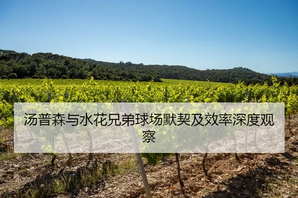 汤普森与水花兄弟球场默契及效率深度观察